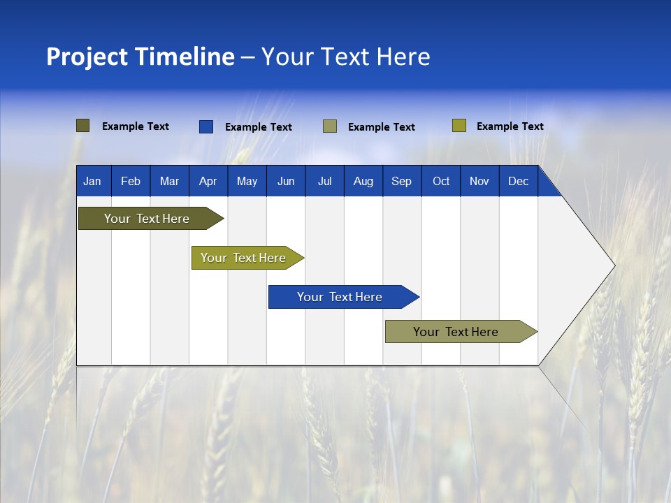 Healthy Whole Cereal PowerPoint Template