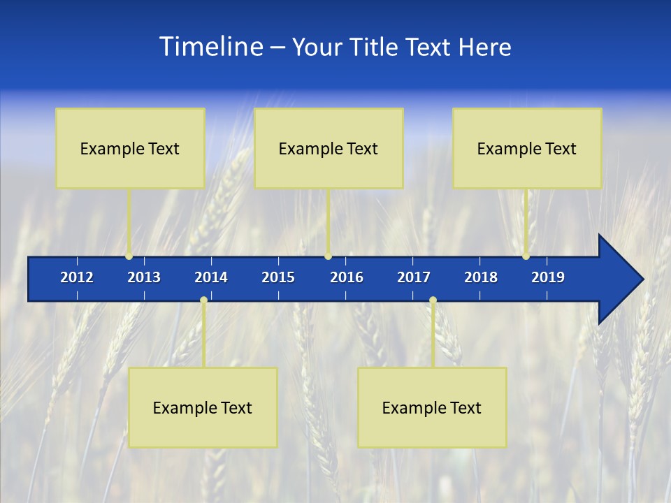 Healthy Whole Cereal PowerPoint Template