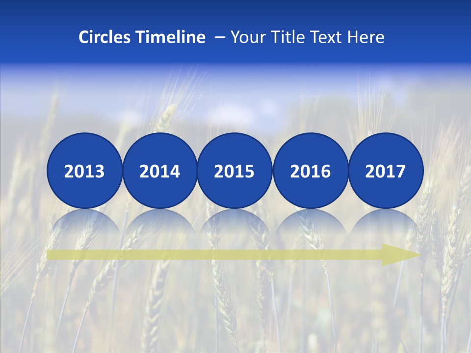 Healthy Whole Cereal PowerPoint Template