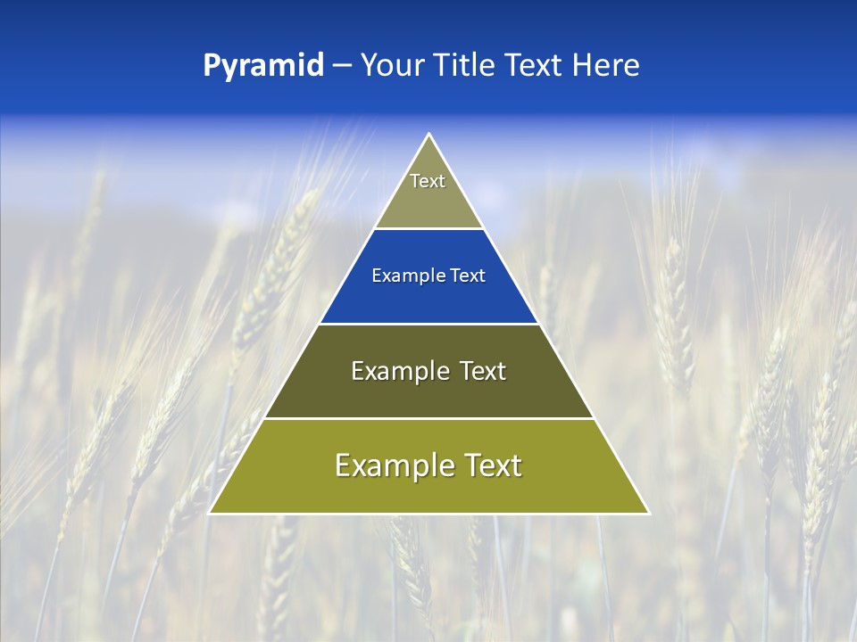 Healthy Whole Cereal PowerPoint Template