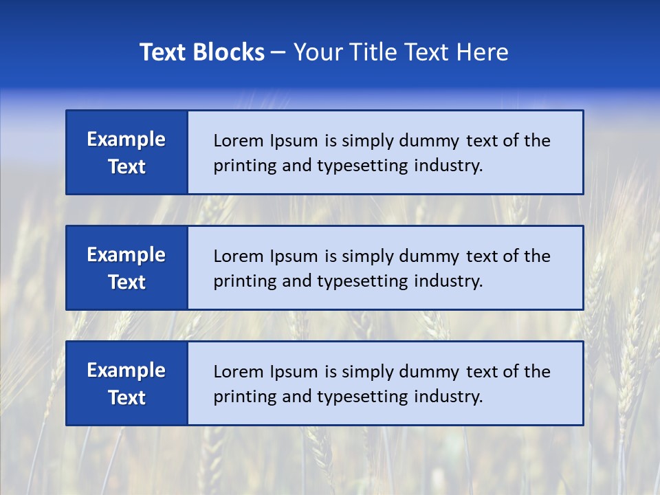 Healthy Whole Cereal PowerPoint Template