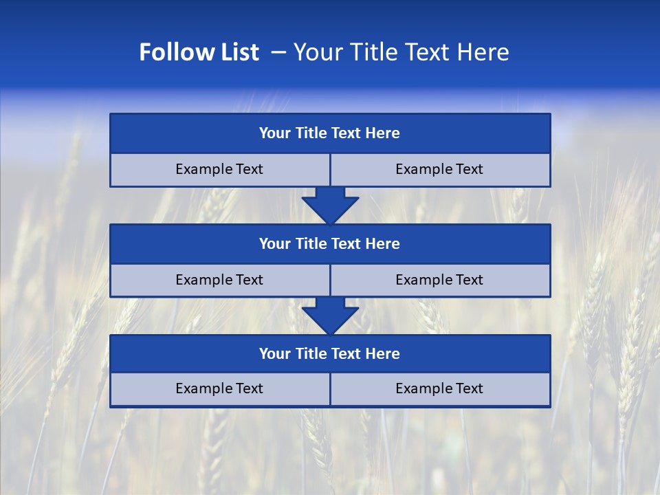 Healthy Whole Cereal PowerPoint Template