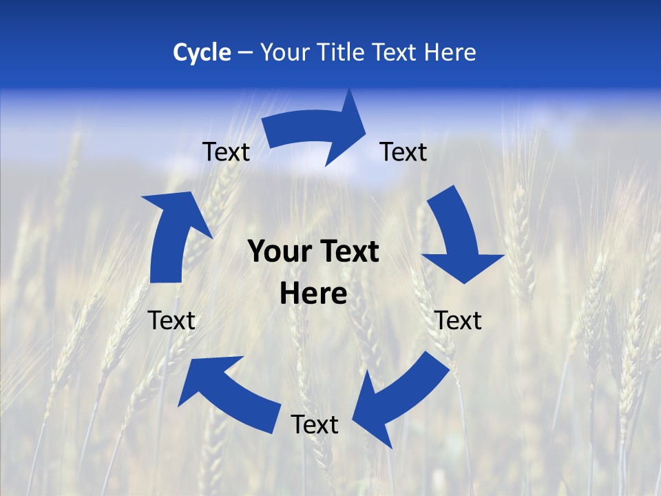 Healthy Whole Cereal PowerPoint Template