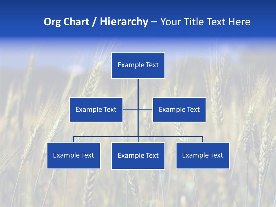 Healthy Whole Cereal PowerPoint Template
