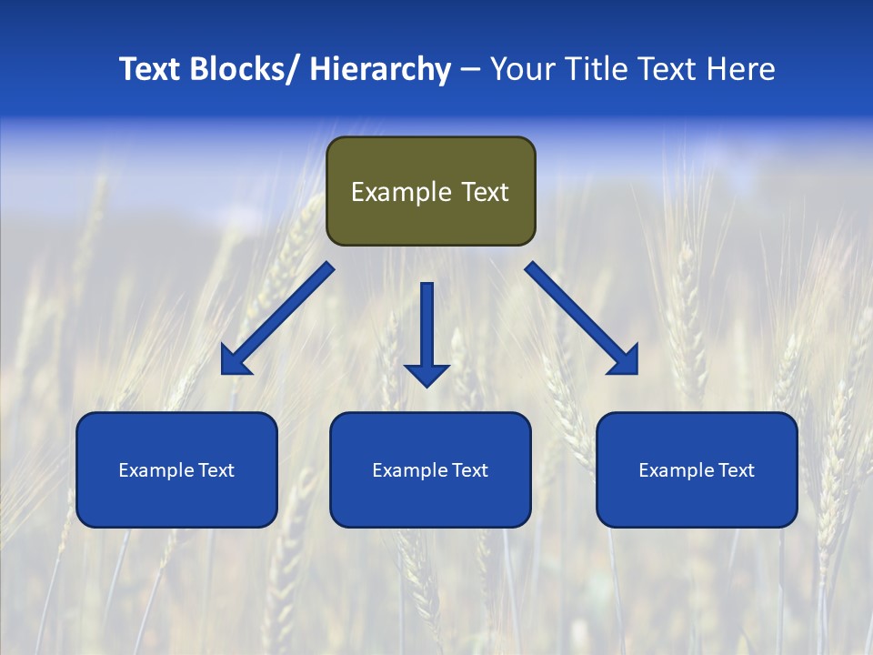 Healthy Whole Cereal PowerPoint Template