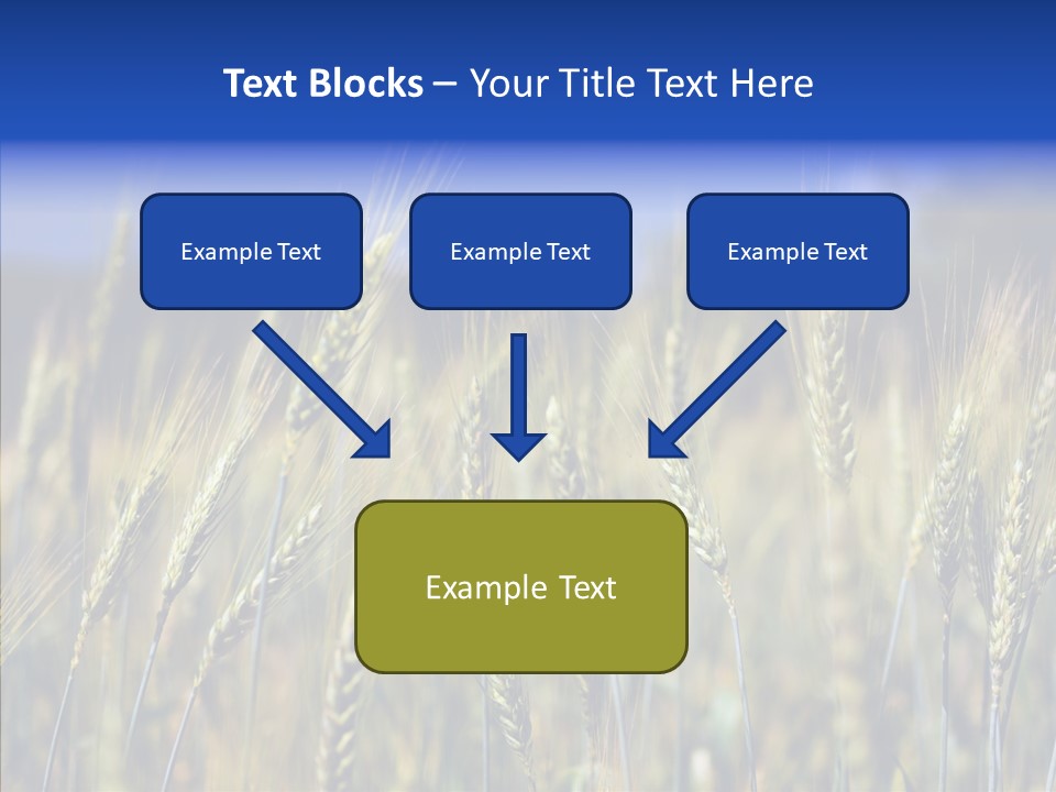 Healthy Whole Cereal PowerPoint Template