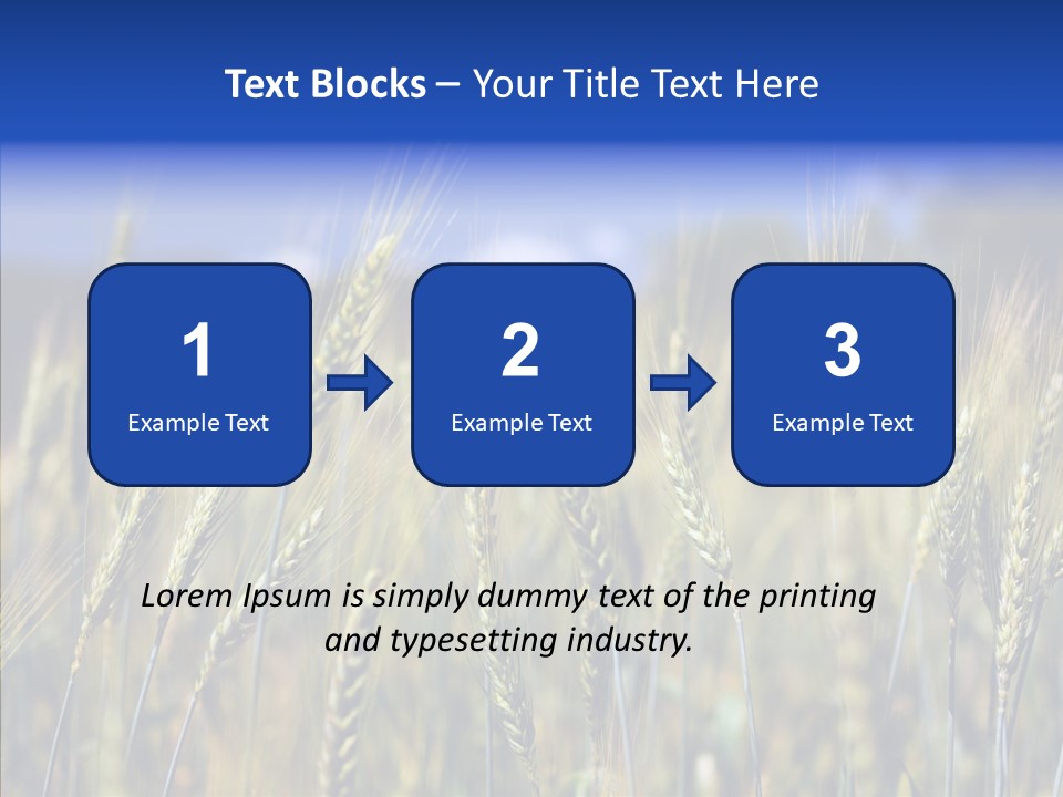 Healthy Whole Cereal PowerPoint Template