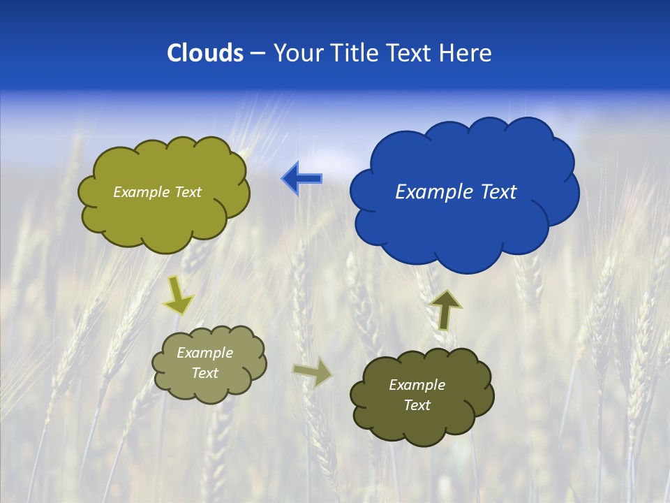 Healthy Whole Cereal PowerPoint Template