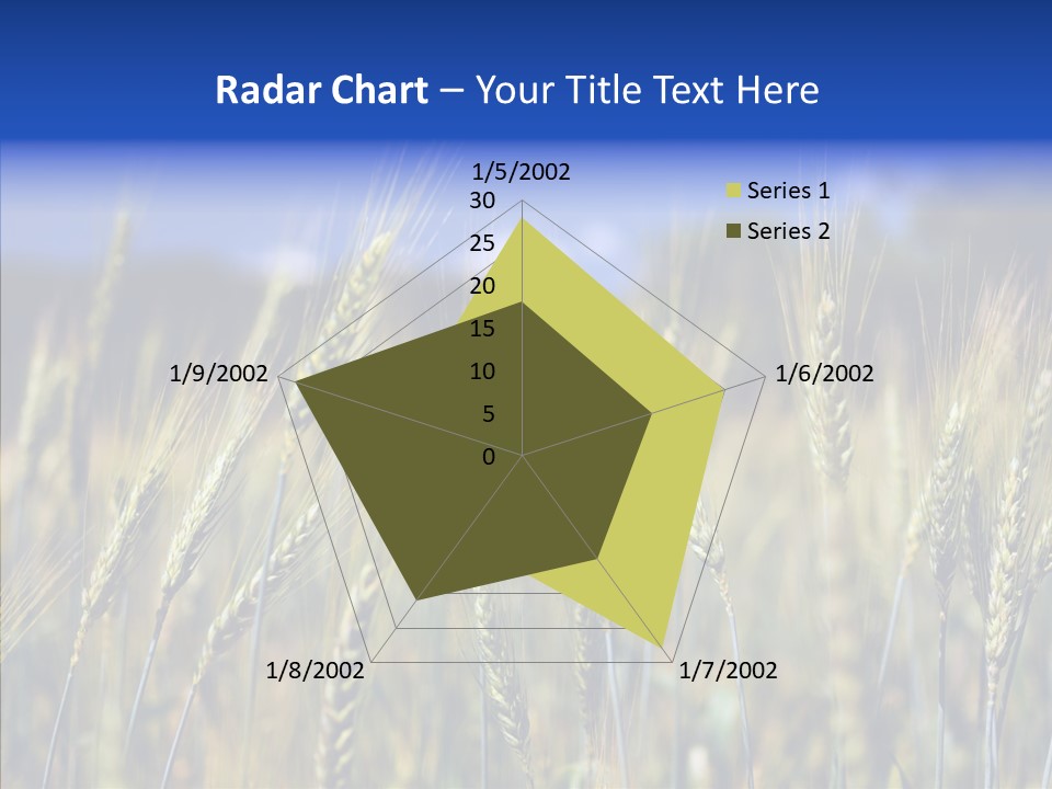 Healthy Whole Cereal PowerPoint Template