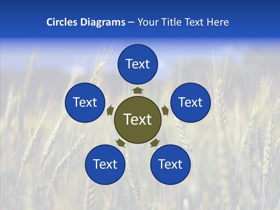 Healthy Whole Cereal PowerPoint Template