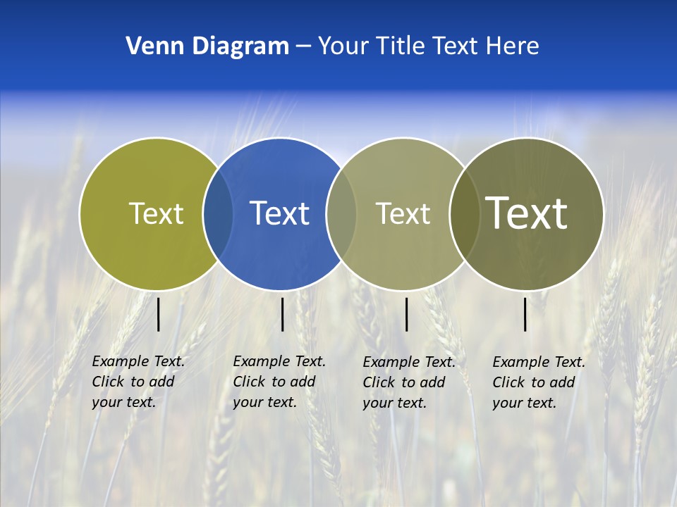 Healthy Whole Cereal PowerPoint Template