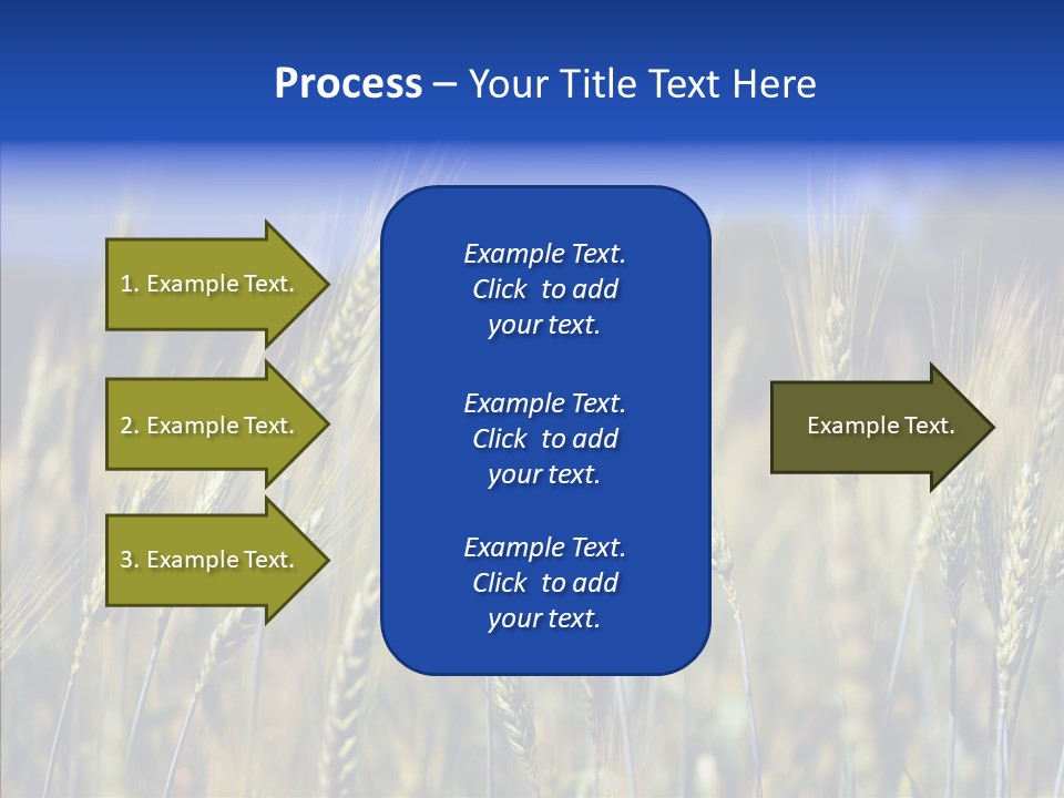 Healthy Whole Cereal PowerPoint Template