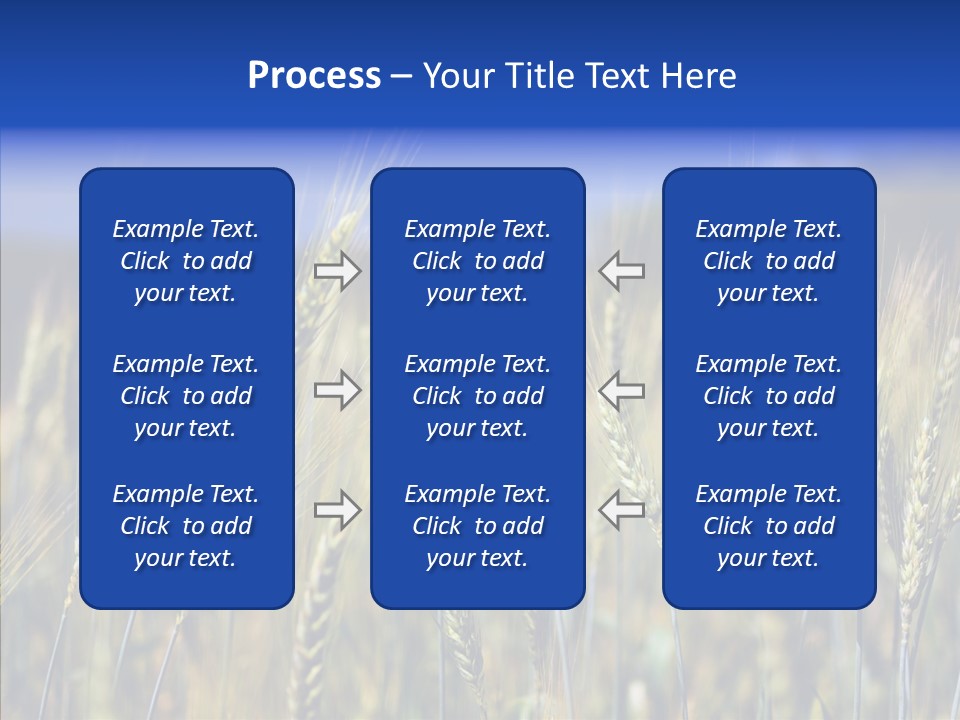 Healthy Whole Cereal PowerPoint Template
