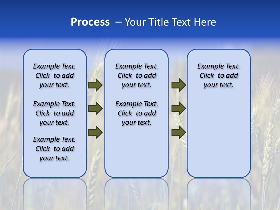 Healthy Whole Cereal PowerPoint Template
