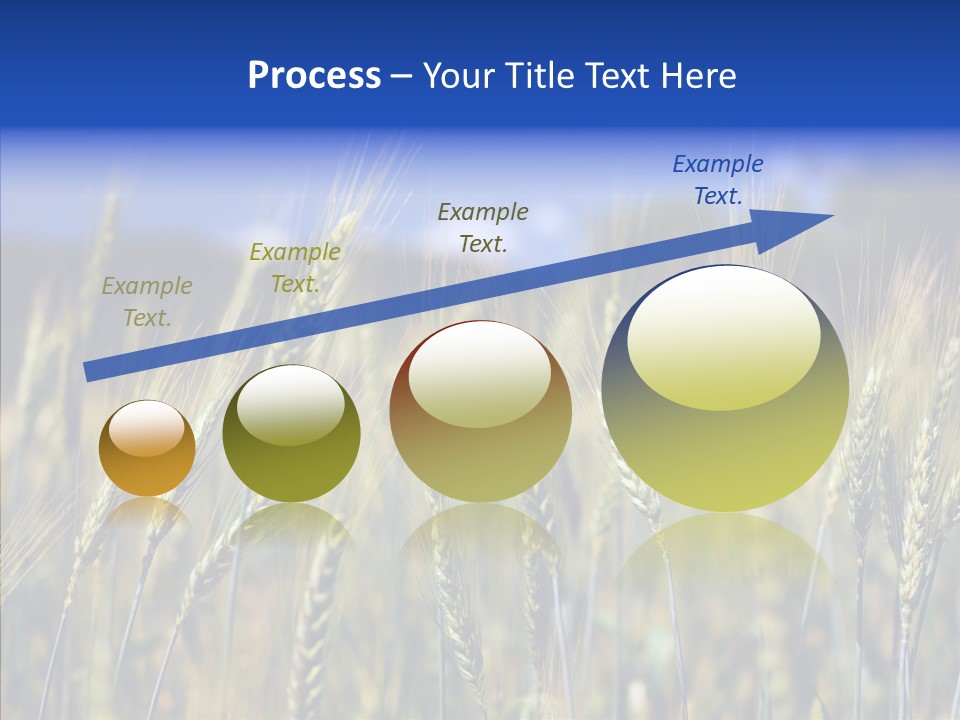 Healthy Whole Cereal PowerPoint Template