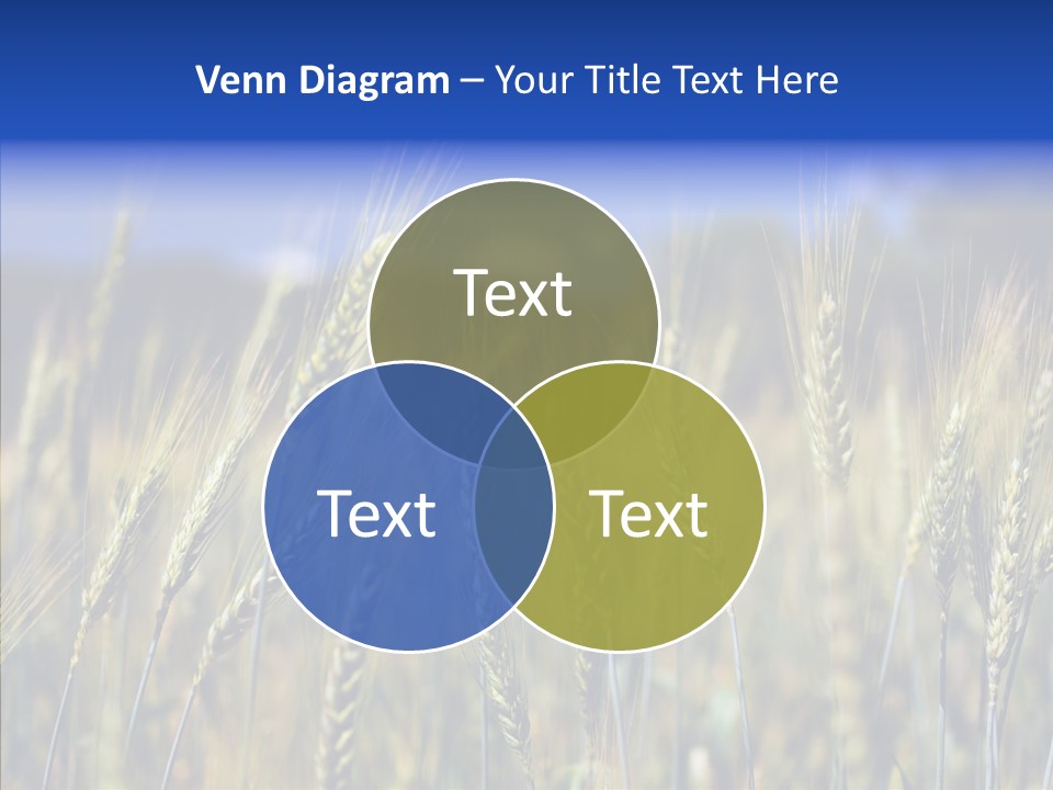 Healthy Whole Cereal PowerPoint Template