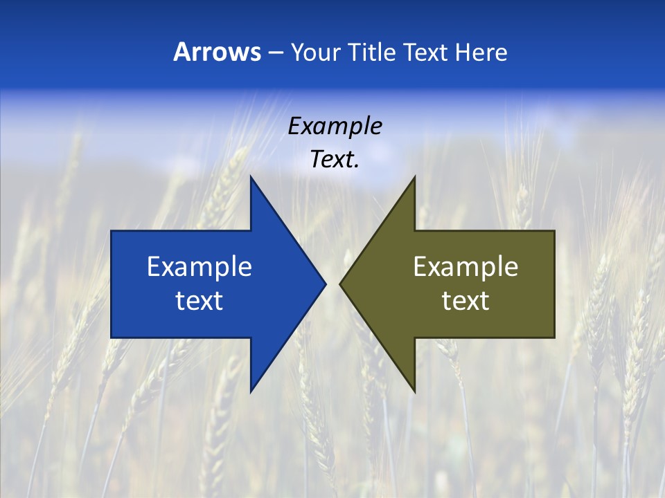 Healthy Whole Cereal PowerPoint Template