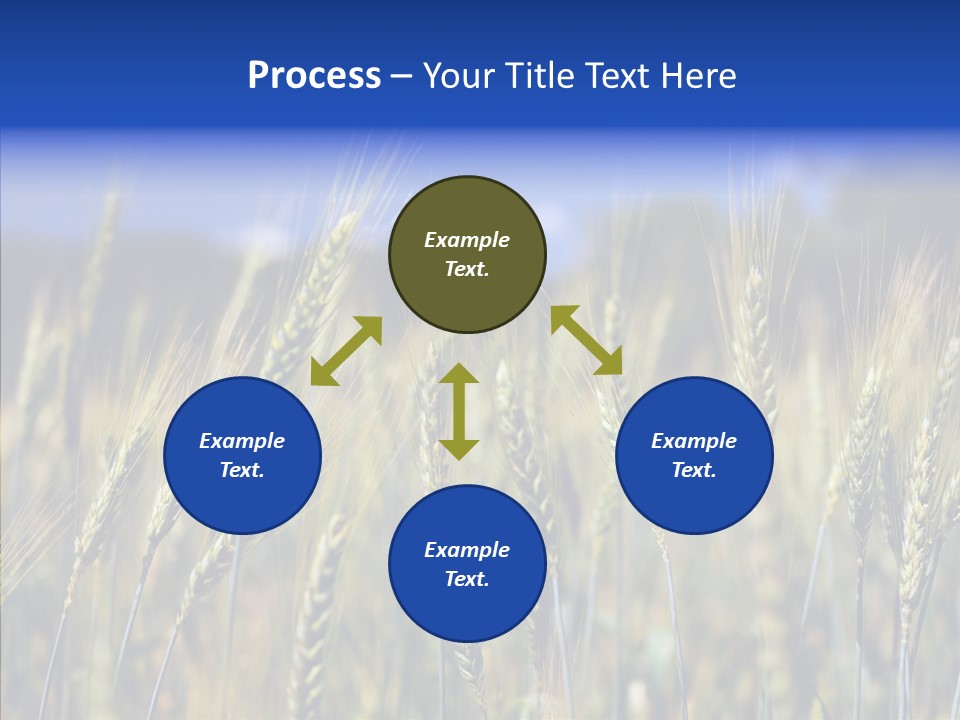 Healthy Whole Cereal PowerPoint Template