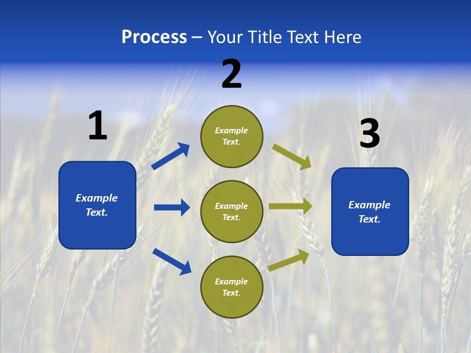 Healthy Whole Cereal PowerPoint Template