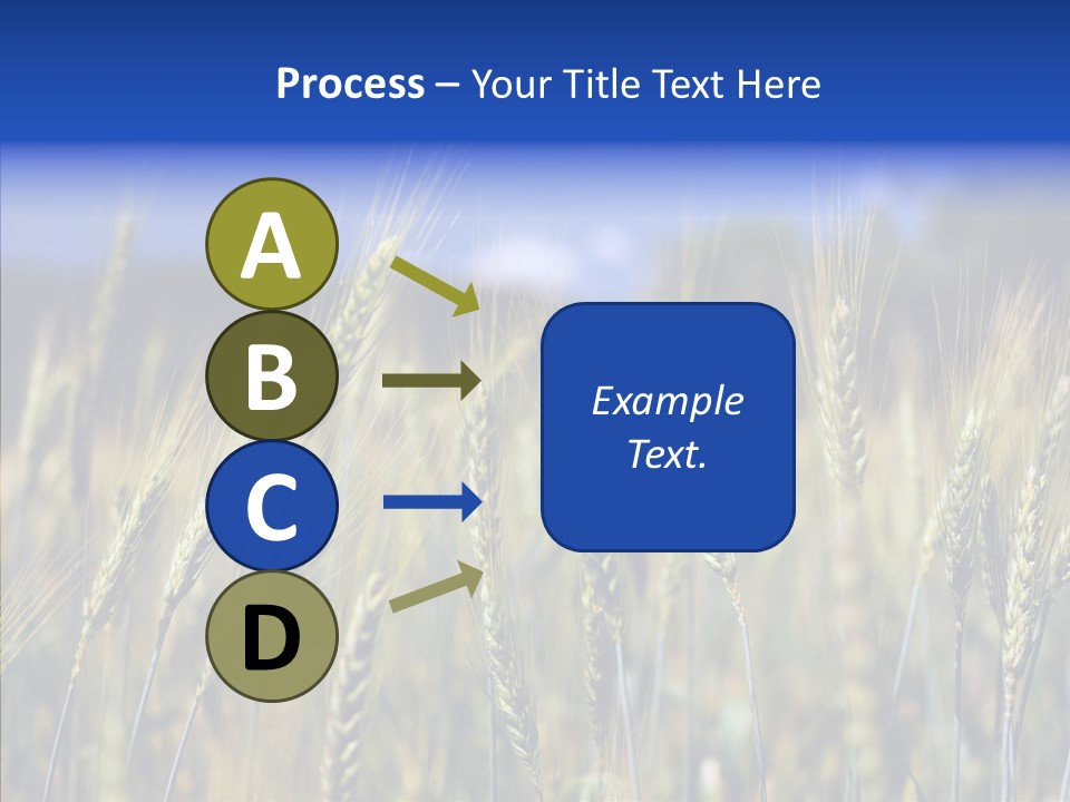 Healthy Whole Cereal PowerPoint Template