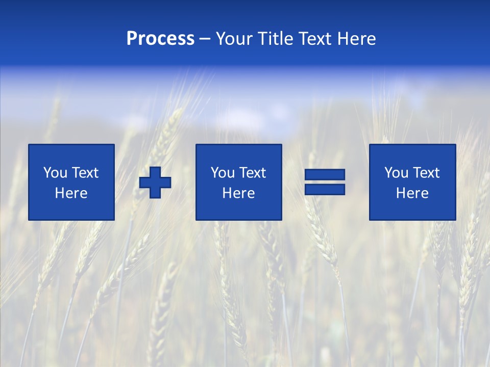 Healthy Whole Cereal PowerPoint Template