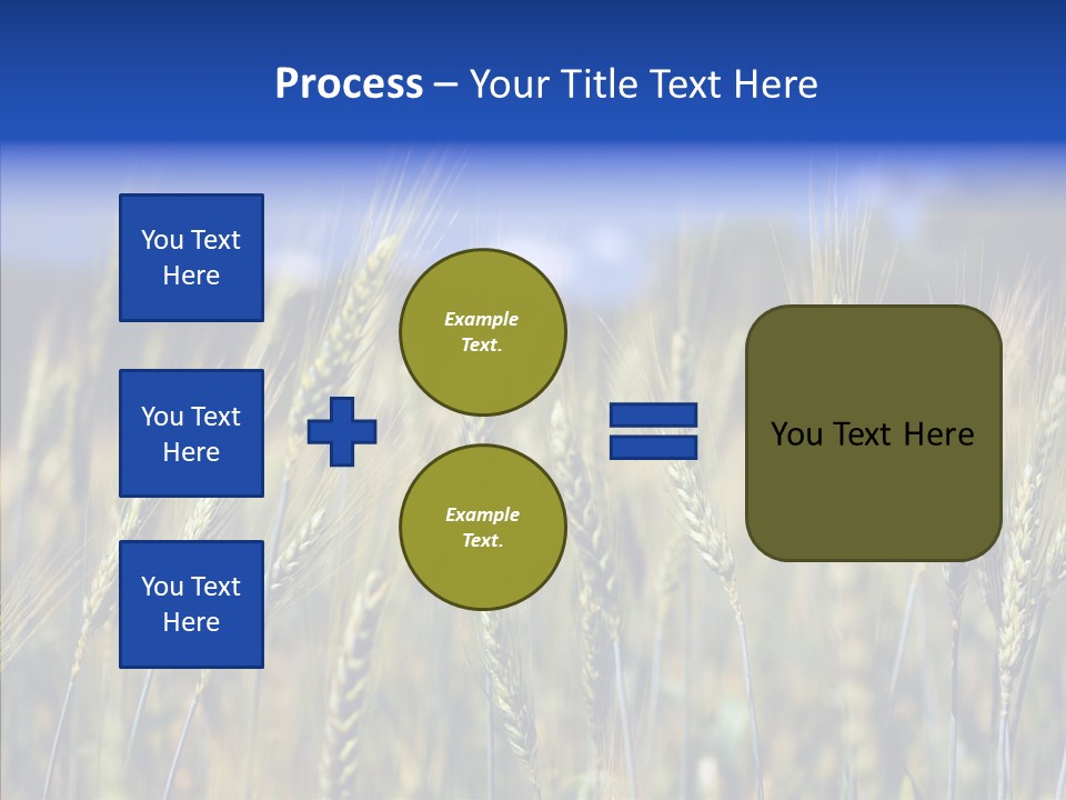 Healthy Whole Cereal PowerPoint Template