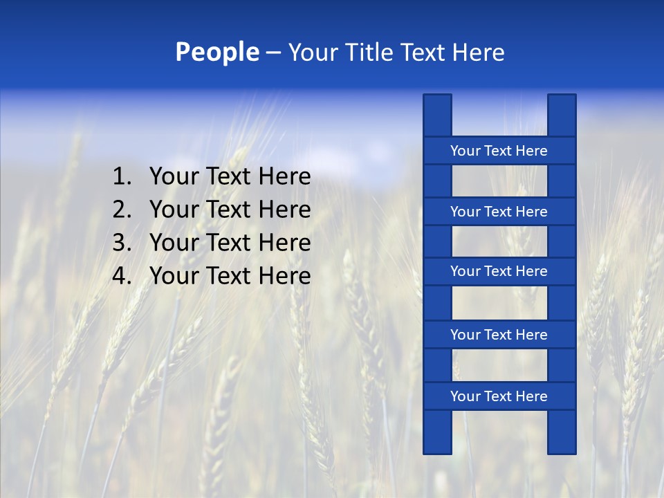 Healthy Whole Cereal PowerPoint Template
