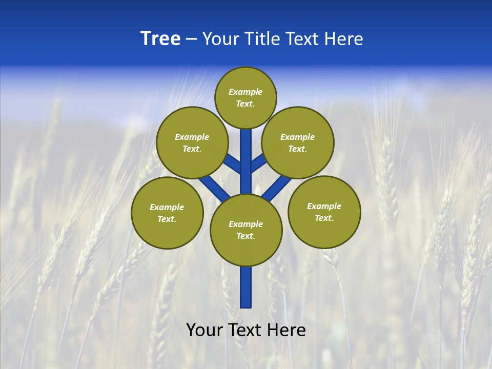 Healthy Whole Cereal PowerPoint Template