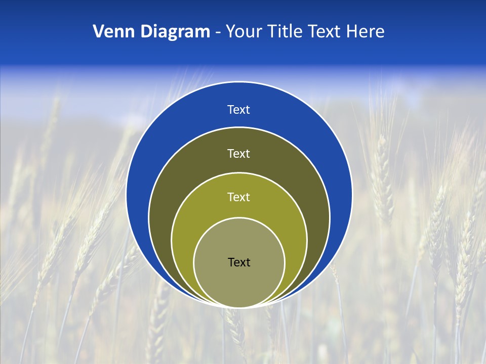 Healthy Whole Cereal PowerPoint Template