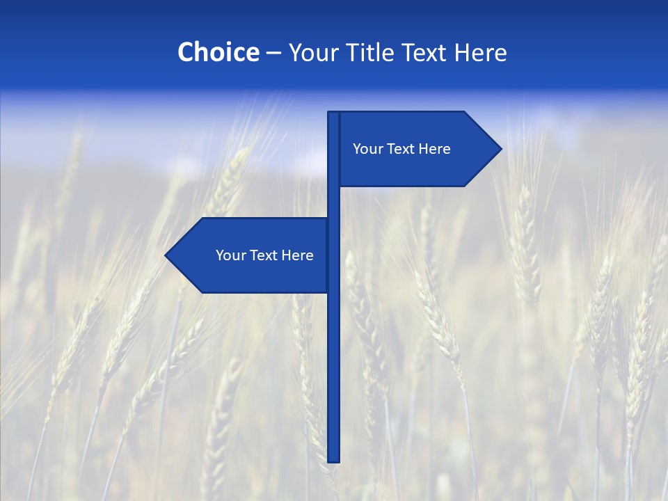 Healthy Whole Cereal PowerPoint Template