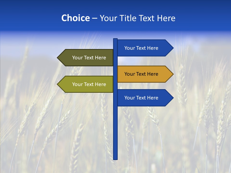 Healthy Whole Cereal PowerPoint Template