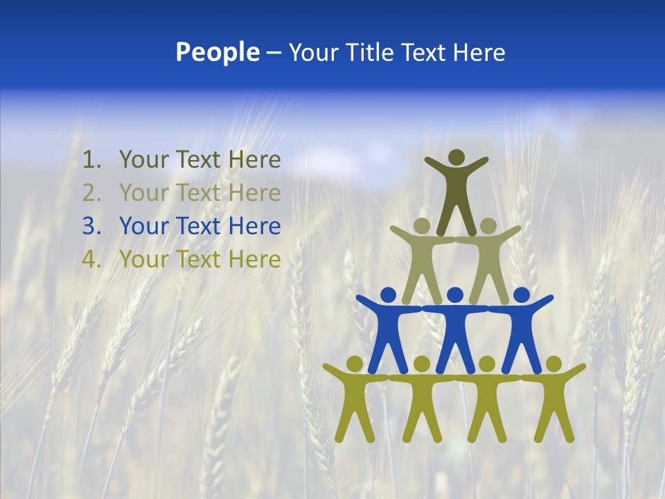 Healthy Whole Cereal PowerPoint Template