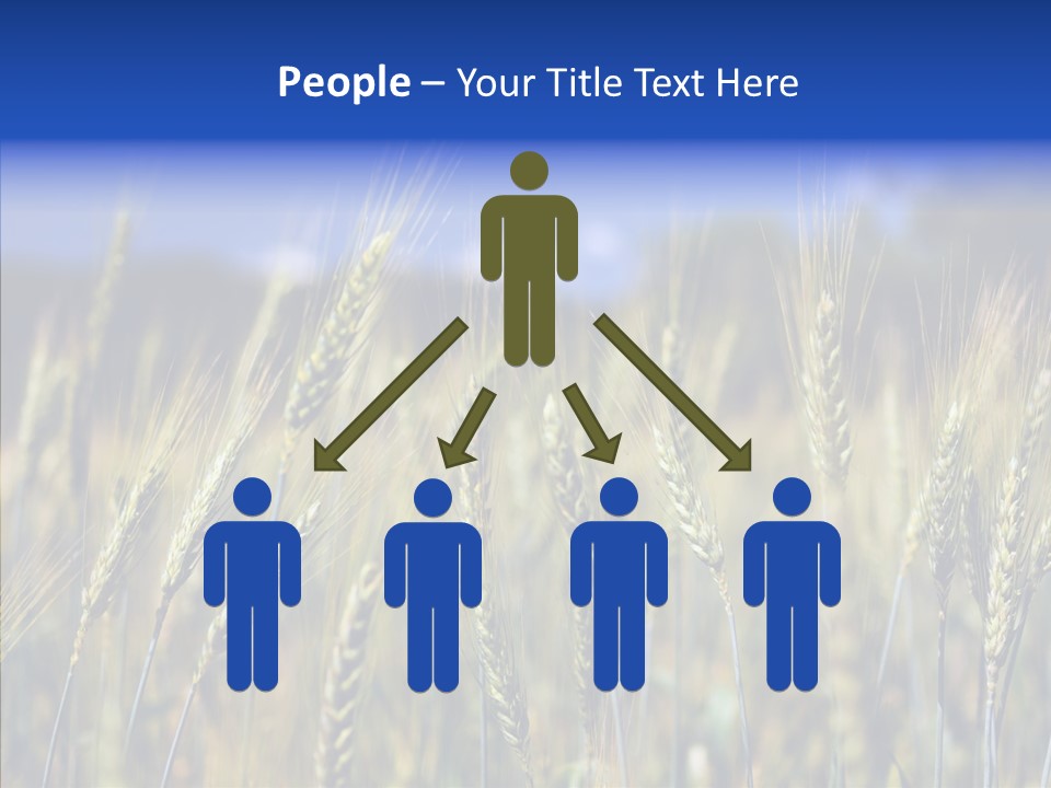 Healthy Whole Cereal PowerPoint Template