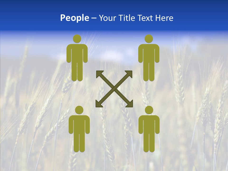 Healthy Whole Cereal PowerPoint Template