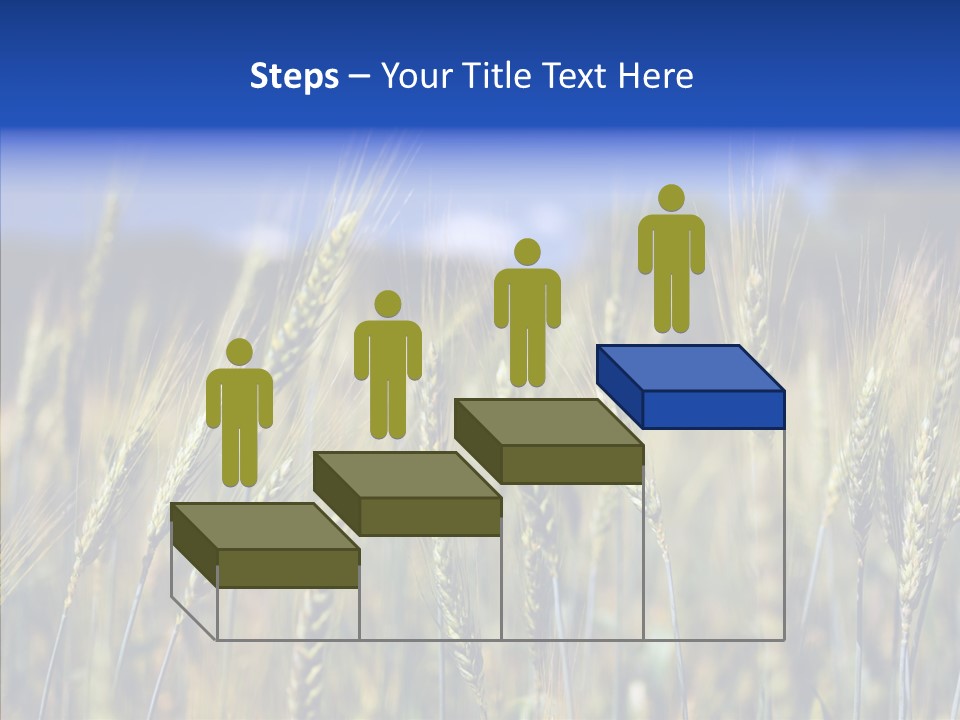 Healthy Whole Cereal PowerPoint Template