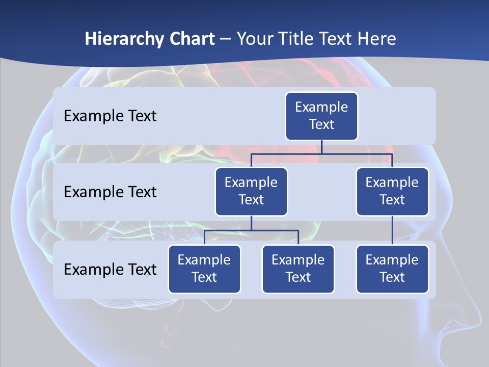 Medical Think Part PowerPoint Template