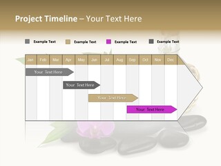 Tropical White Spa PowerPoint Template