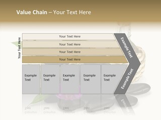Tropical White Spa PowerPoint Template
