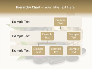 Tropical White Spa PowerPoint Template