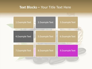 Tropical White Spa PowerPoint Template
