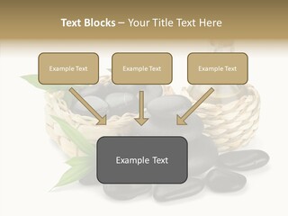 Tropical White Spa PowerPoint Template