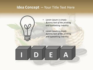 Tropical White Spa PowerPoint Template