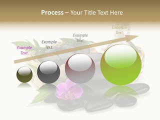 Tropical White Spa PowerPoint Template
