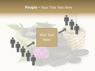 Tropical White Spa PowerPoint Template