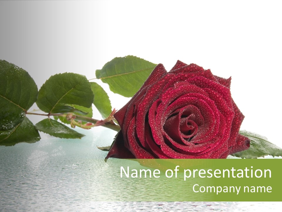 Botanical Floral Beauty PowerPoint Template