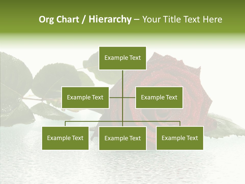 Botanical Floral Beauty PowerPoint Template