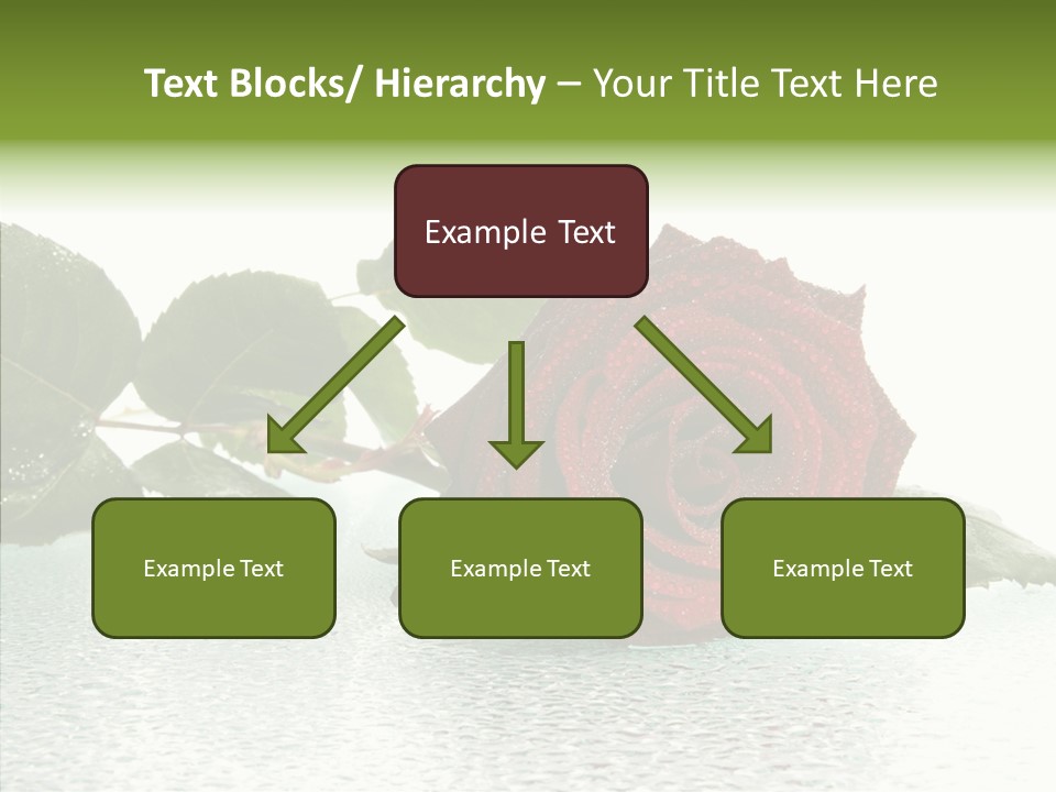 Botanical Floral Beauty PowerPoint Template