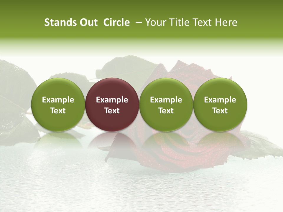 Botanical Floral Beauty PowerPoint Template