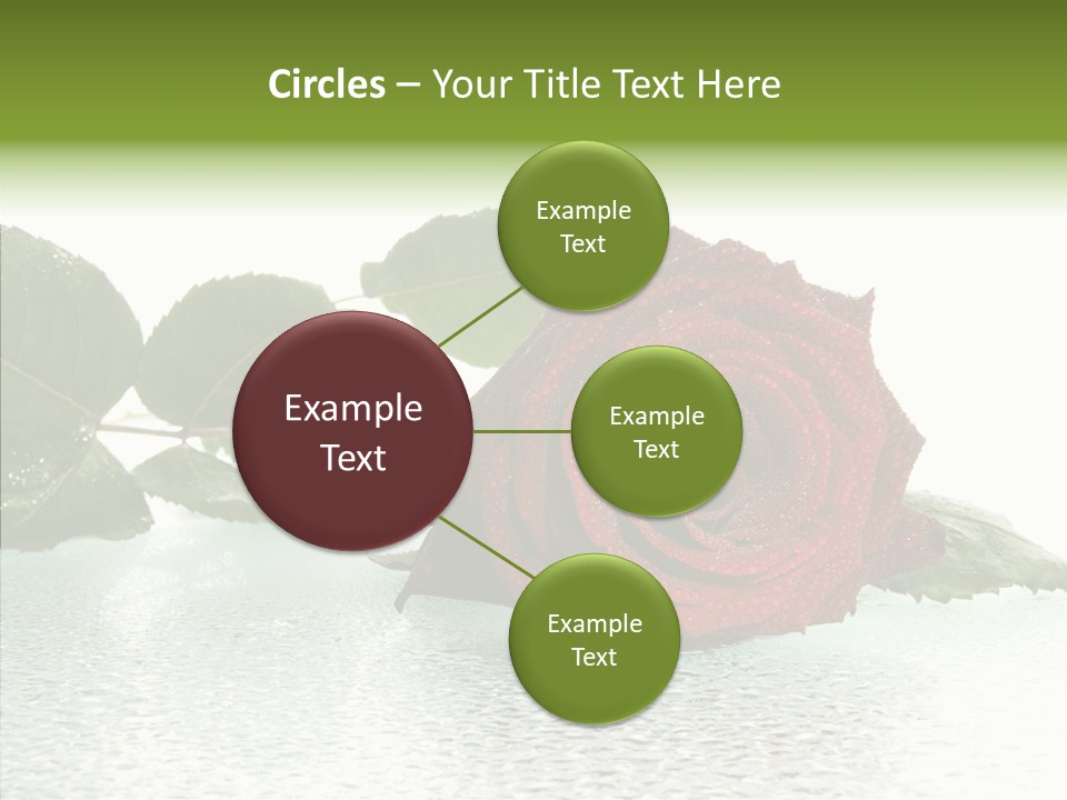 Botanical Floral Beauty PowerPoint Template