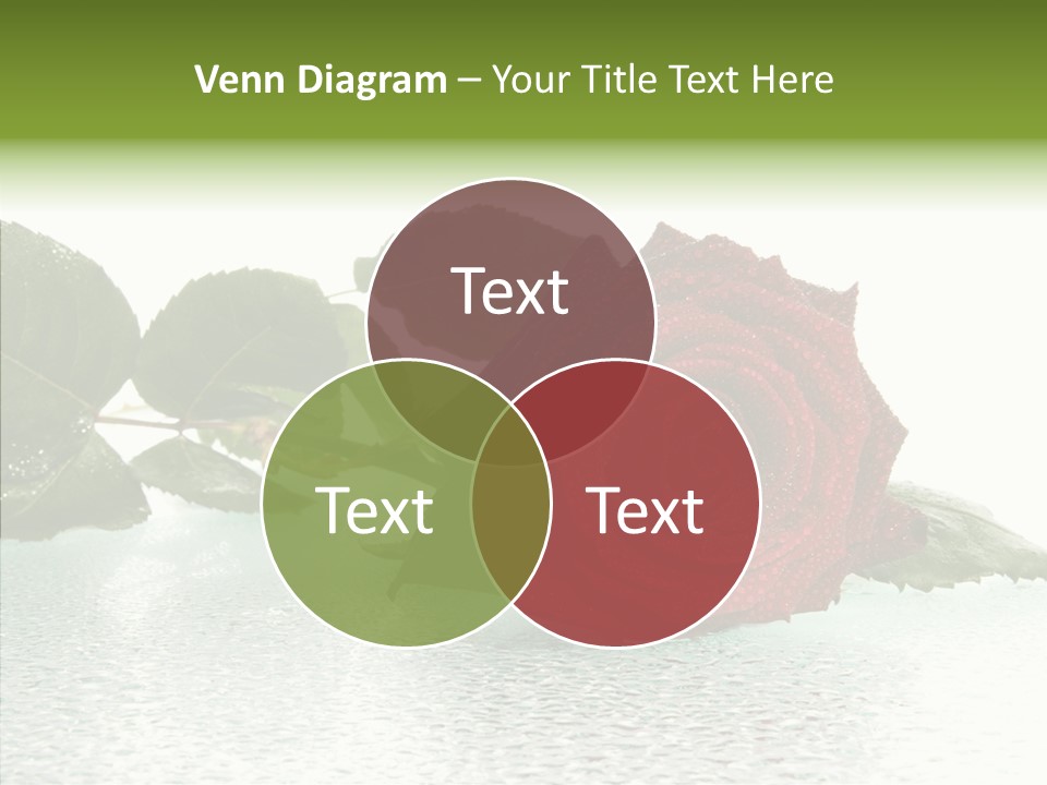 Botanical Floral Beauty PowerPoint Template